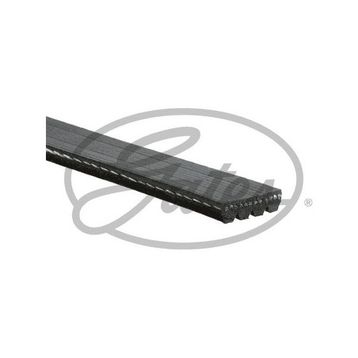 Gates 4PK855 Kanallı Kayış
