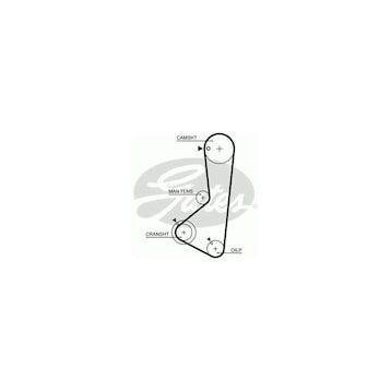 Gates 5254XS Triger Kayışı