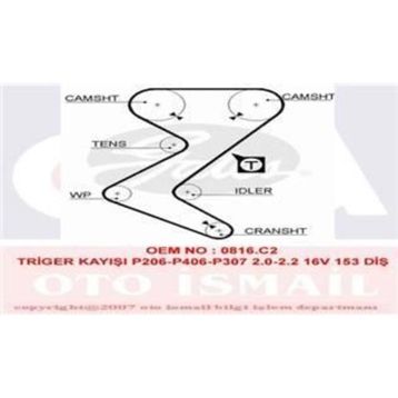 Gates 5528XS Triger Kayışı