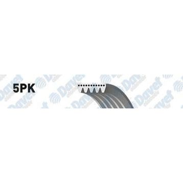 Gates 5PK1013 Kanallı Kayış