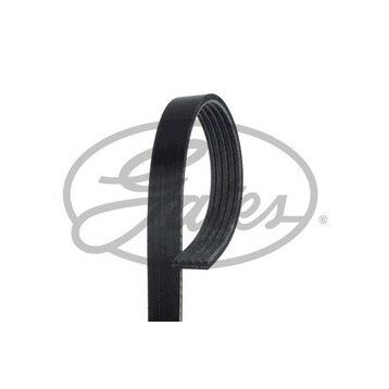 Gates 5PK1030 Kanallı Kayış
