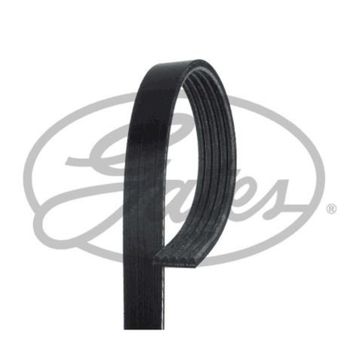 Gates 5PK1030 Kanallı Kayış