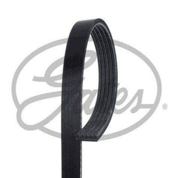 Gates 5PK1148 Kanallı Kayış