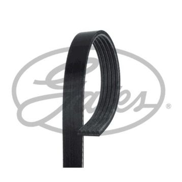 Gates 5PK1510 Kanallı Kayış