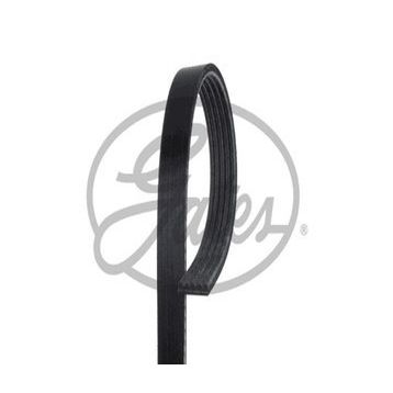 Gates 5PK1640 Kanallı Kayış