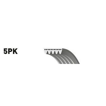 Gates 5PK1650 Kanallı Kayış