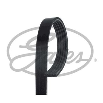 Gates 5PK1765 Kanallı Kayış