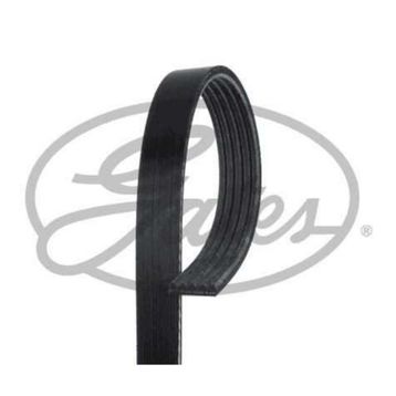 Gates 5PK1770 Kanallı Kayış