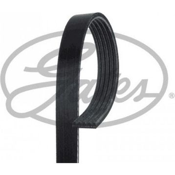 Gates 5PK1810 Kanallı Kayış