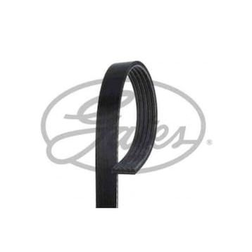 Gates 5PK1810 Kanallı Kayış