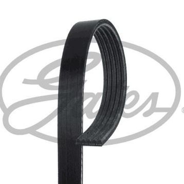 Gates 5PK848 Micro-V Horizon Kayış