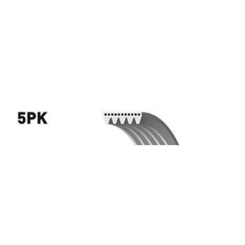 Gates 5PK903 Kanallı Kayış