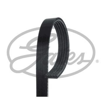Gates 5PK923 Kanallı Kayış
