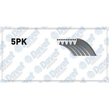 Gates 5PK933 Kanallı Kayış