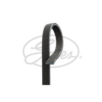 Gates 6DPK1215 Kanallı Kayış