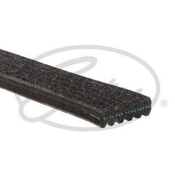 Gates 6DPK1215 Kanallı Kayış
