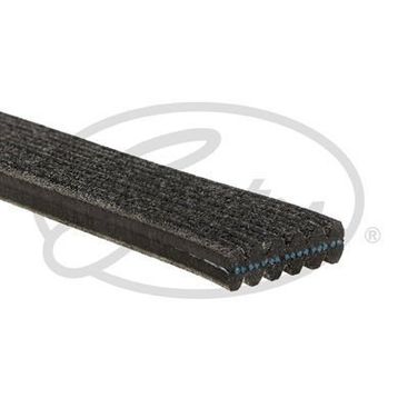 Gates 6DPK1215 Kanallı Kayış