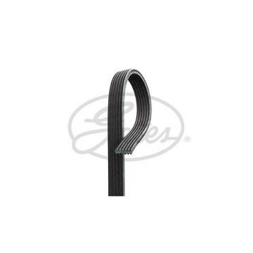 Gates 6DPK1352 Kanallı Kayış
