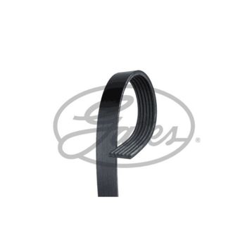 Gates 6PK1600 Kanallı Kayış