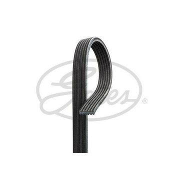 Gates 6PK2033 Kanallı Kayış