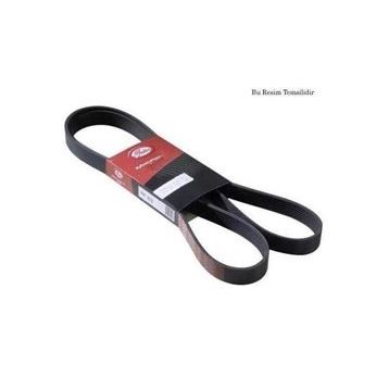 Gates 6PK988 Kanallı Kayış