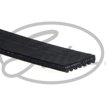 Gates 7PK1325 Kanallı Kayış