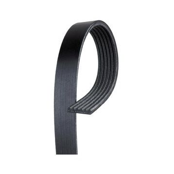 Gates 7PK1800 Kanallı Kayış