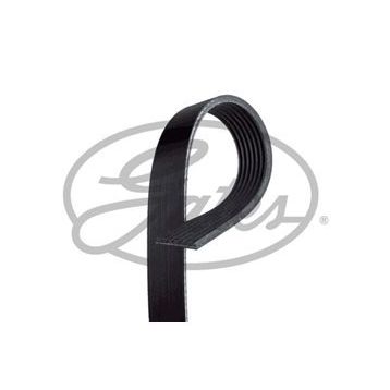 Gates 7PK2285 Kanallı Kayış