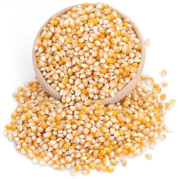 Gaziantep Pazarı 1 kg Patlayan Mısır