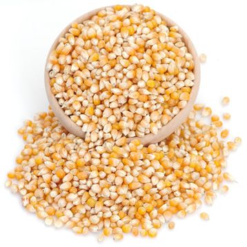 Gaziantep Pazarı 10 kg Patlayan Mısır
