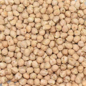 Gaziantep Pazarı 5 kg 8 MM Nohut
