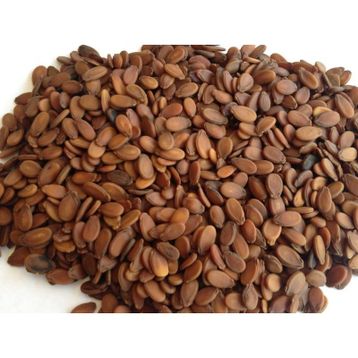 Gaziantep Pazarı 500 gr Karpuz Çekirdeği