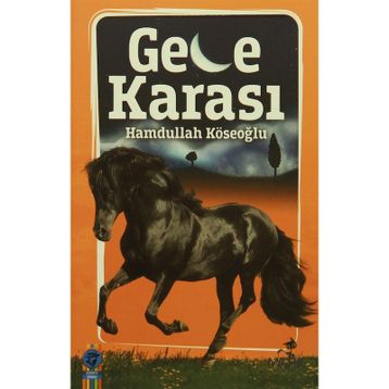 Gece Karası - Hamdullah Köseoğlu