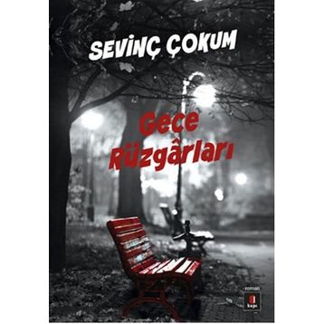 Gece Rüzgarları - Sevinç Çokum