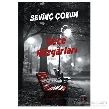 Gece Rüzgarları - Sevinç Çokum