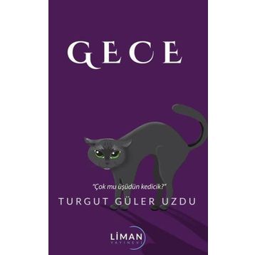 Gece - Turgut Güler Uzdu