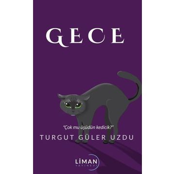 Gece - Turgut Güler Uzdu