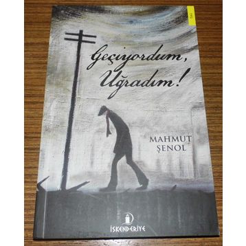 Geçiyordum, Uğradım! - Mahmut Şenol
