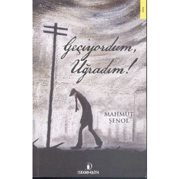 Geçiyordum, Uğradım! - Mahmut Şenol
