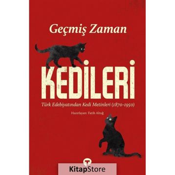 Geçmiş Zaman Kedileri Fatih Altuğ