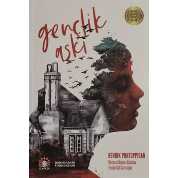 Gençlik Aşkı - Henrik Pontoppidan