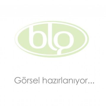 General Mobile Discovery S Plus Batarya Pil