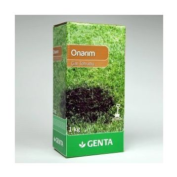 Genta 1kg Onarım Çim Tohumu