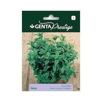 Genta Prestige Nane Tohumu