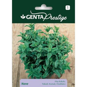Genta Prestige Nane Tohumu