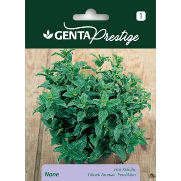 Genta Prestige Nane Tohumu
