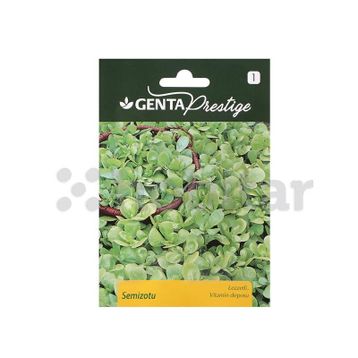 Genta Prestige Semizotu Tohumu