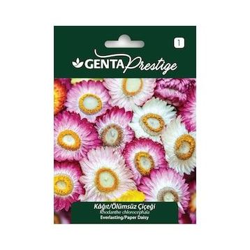Genta Prestige Tunbergiya Karagözlü Suzan Sarmaşığı Tohumu