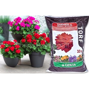 Genta Sardunya ve Çiçekli 10 lt Bitki Torfu