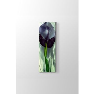 Georgia OKeeffe - Black Iris Tablosu
